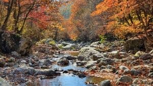경반계곡