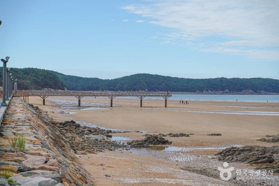 [태안 해변길] 1코스 바라길