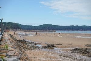 [태안 해변길] 1코스 바라길