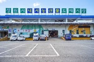 창원시내서농산물도매시장