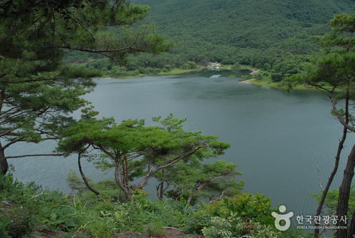 맑은 물이 있는 둔율올갱이마을 캠핑 [웰촌]