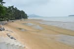 Tommeori Beach (톱머리 해수욕장)