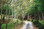 Geommasan National Recreational Forest (국립 검마산자연휴양림 )
