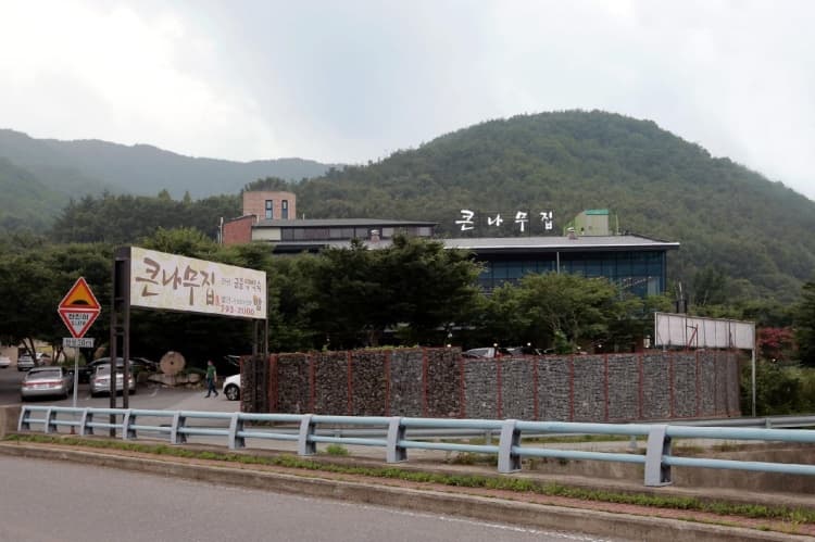 큰나무집