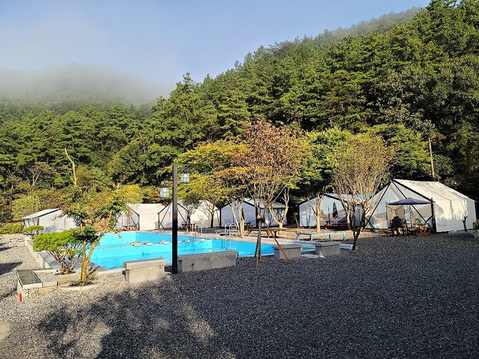 평화숲 글램핑