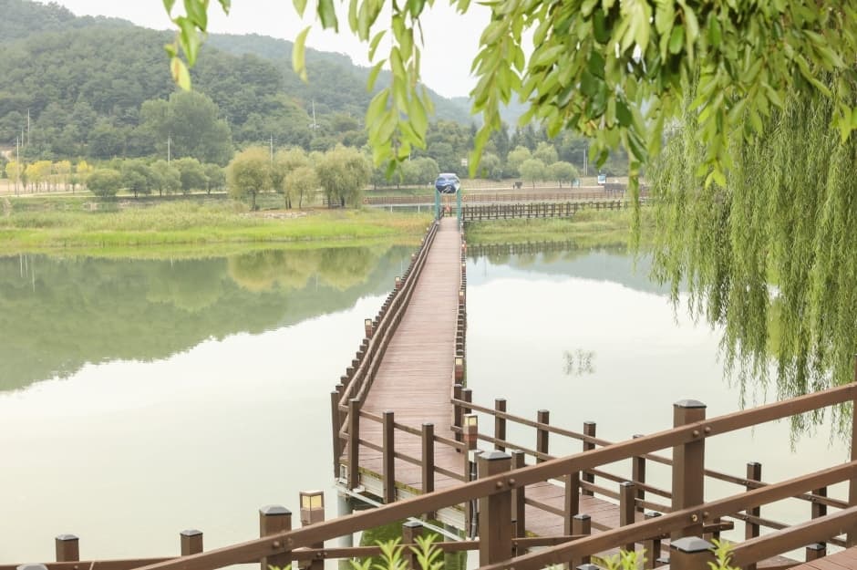 한반도섬 자연습지