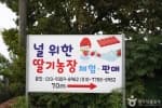 널위한딸기농장