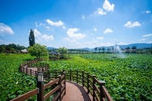 뒷미지수변공원