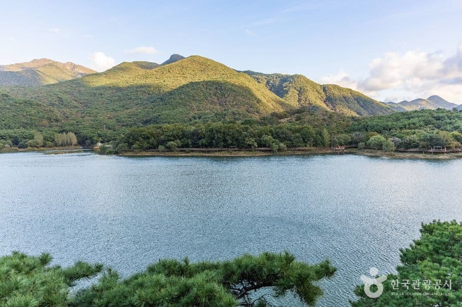 괴산호