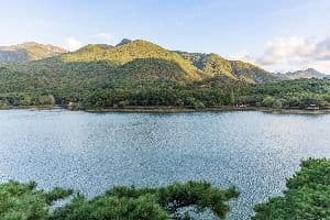 괴산호