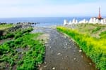 Tonggumi Pebble Beach (통구미몽돌해변)