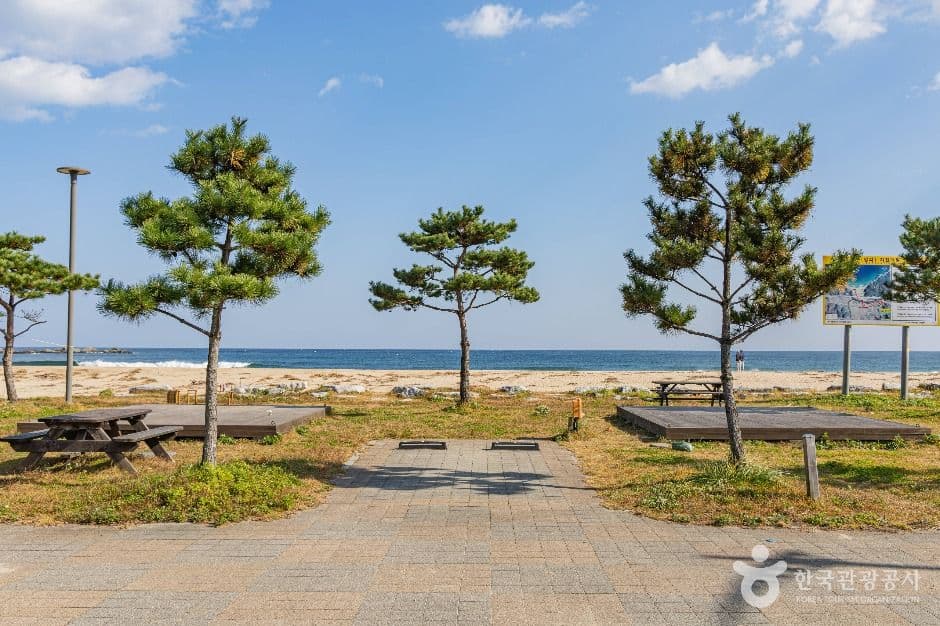 [강원평화누리길 19코스] 고성 통일로 가는길