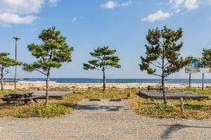 [강원평화누리길 19코스] 고성 통일로 가는길