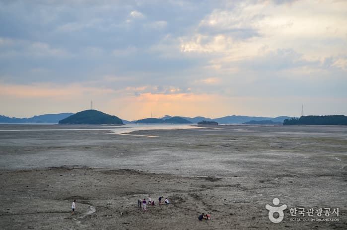 웅도어촌체험마을