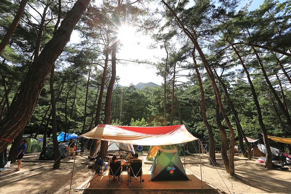 월악산국립공원 덕주야영장