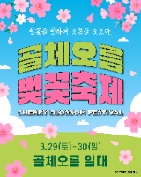 골체오름 벚꽃축제