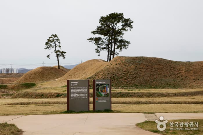청주 정북동 토성