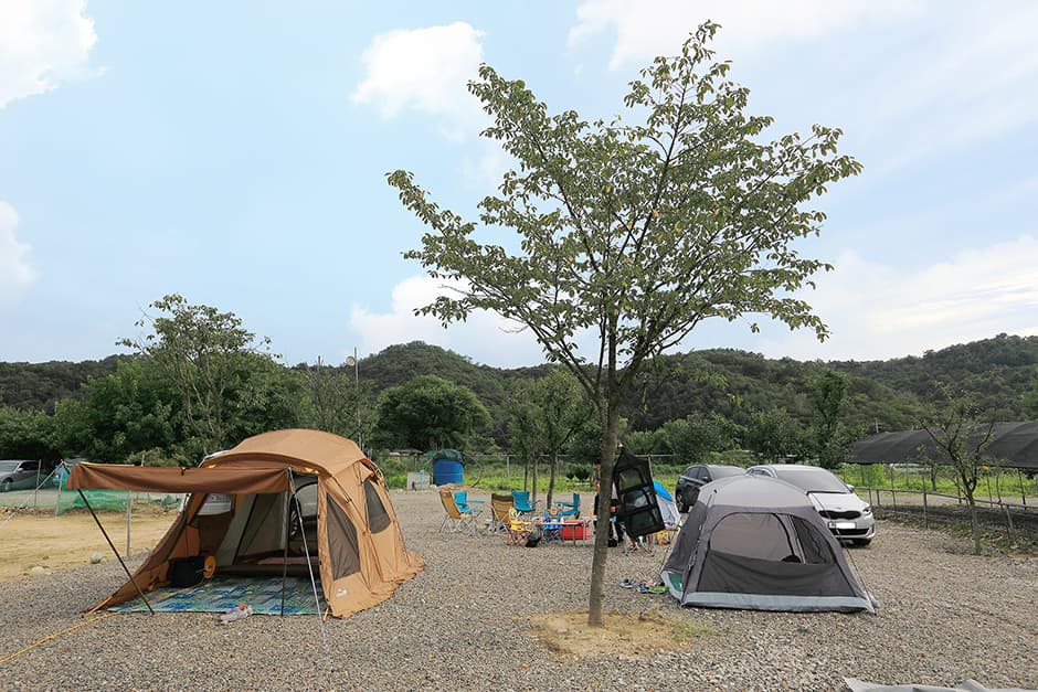 코끼리관광농원캠핑장