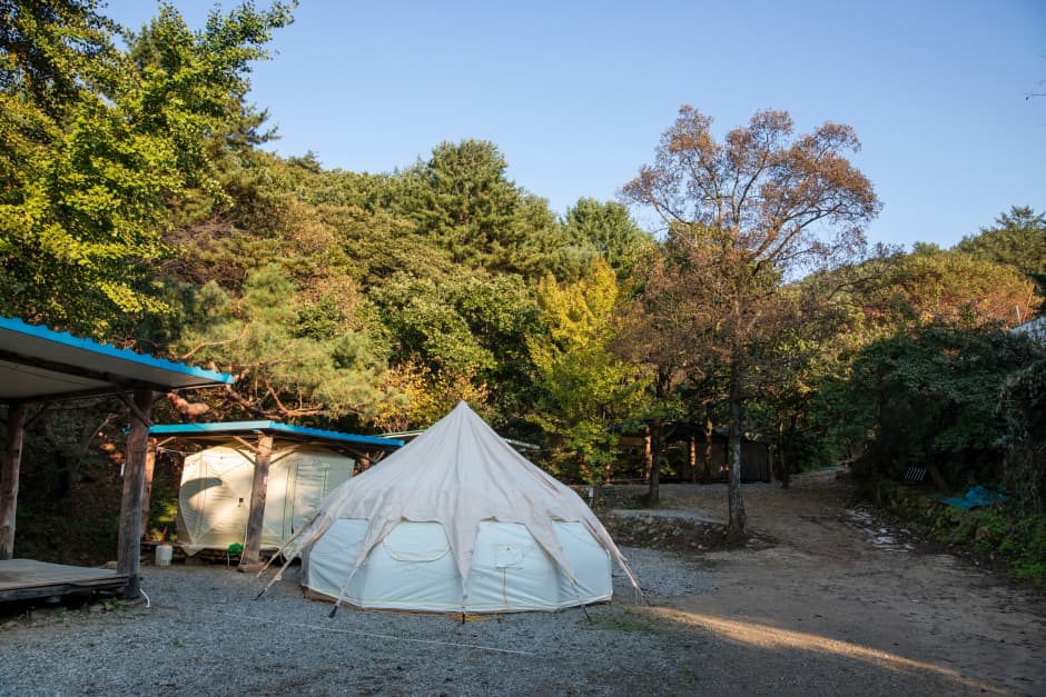 돈내미농장