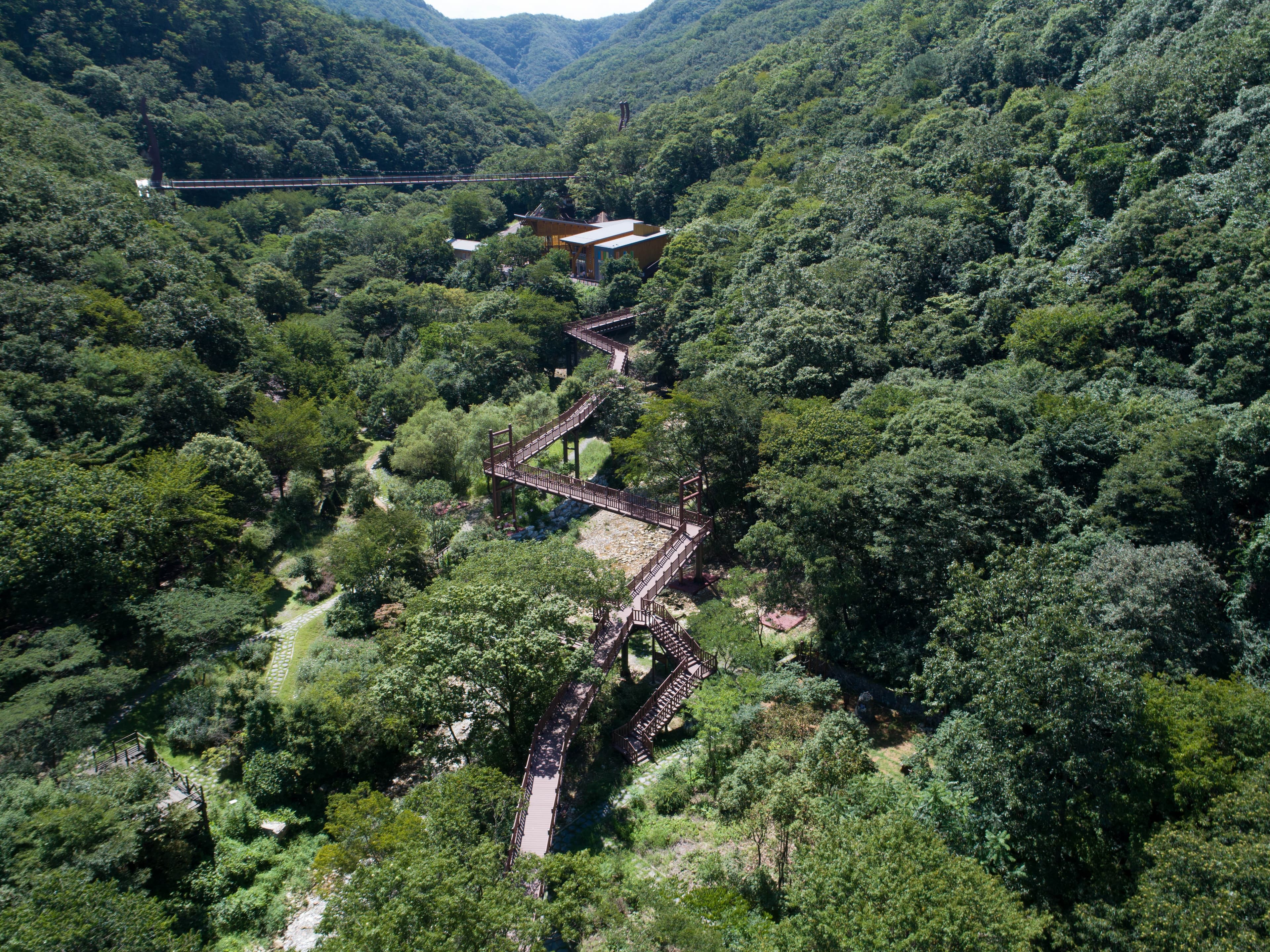 금산산림문화타운