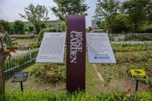 조선대학교 장미원