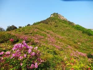 월여산