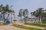 Daebudo Island (대부도)