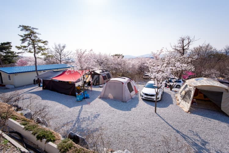 비봉산캠핑장