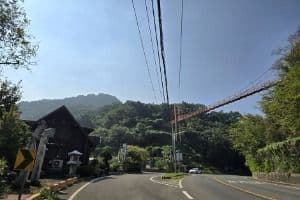 마금산