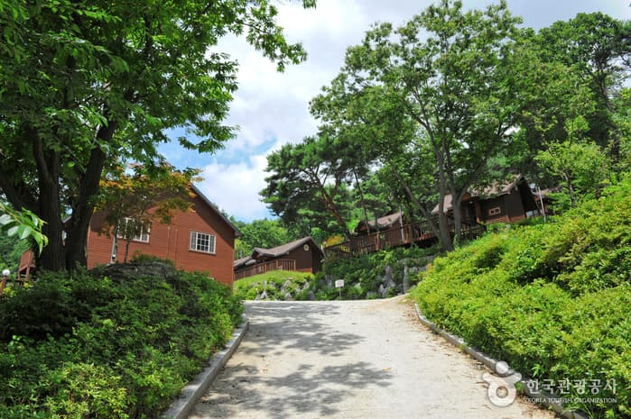 Yongmunsan Recreational Forest (용문산자연휴양림)
