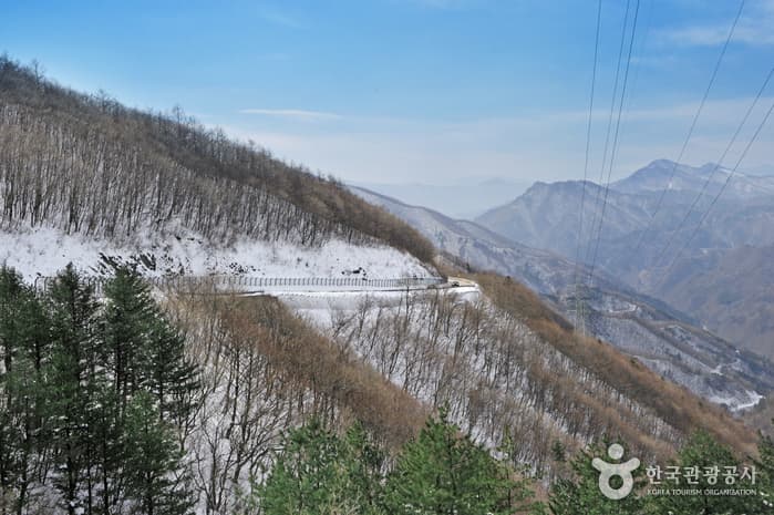 함백산 만항재