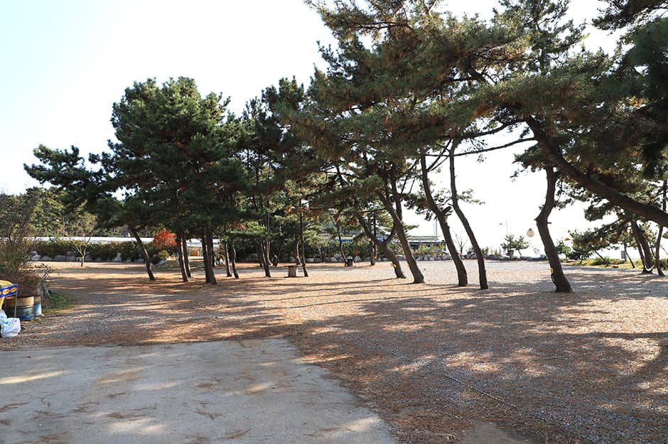비치캠핑장