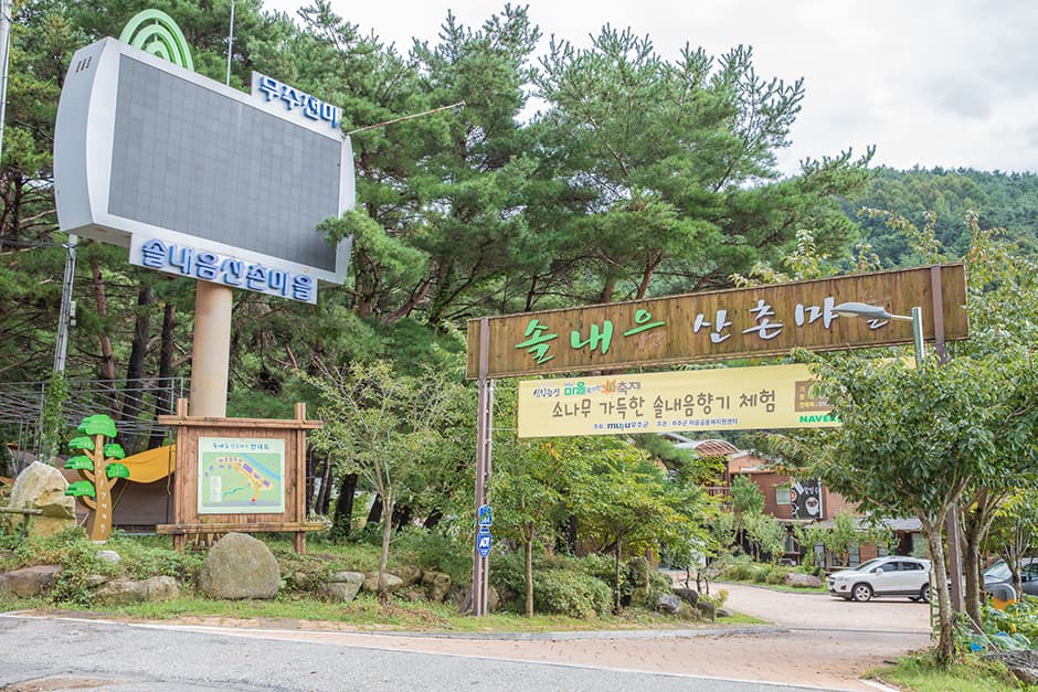 솔내음캠핑장