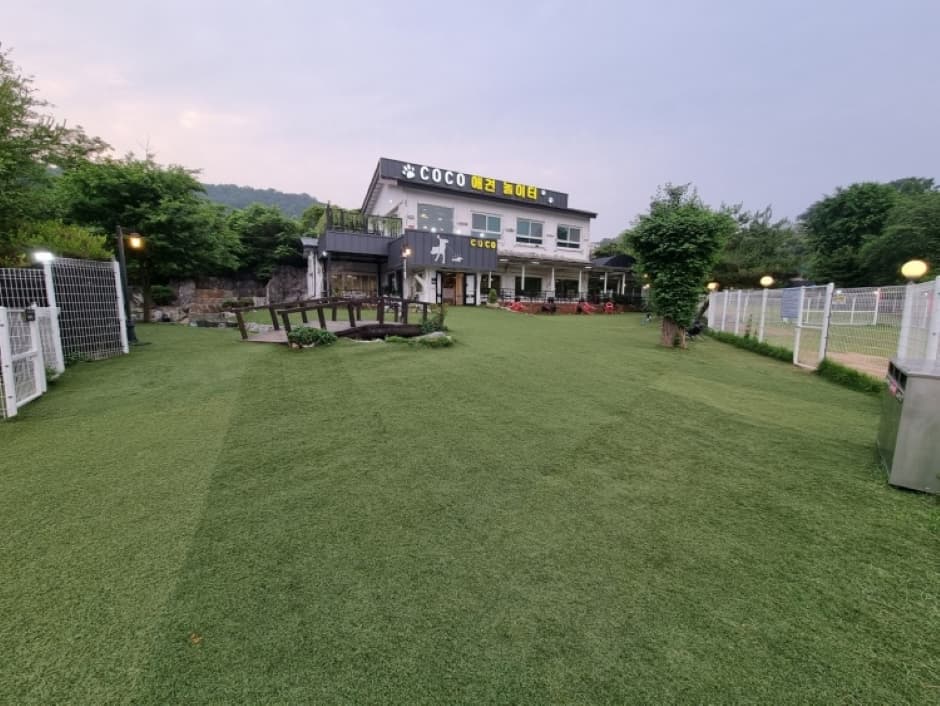 코코애견카페