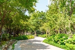거리공원