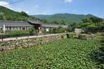 Gurye Unjoru Historic House (구례 운조루 고택)