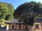 Suncheon Heungryunsa Temple (흥륜사 (순천))