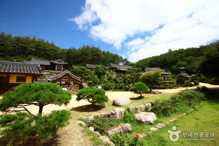 Andong Gunja Village (Ocheon Historic Site) (안동 군자마을(오천유적지))