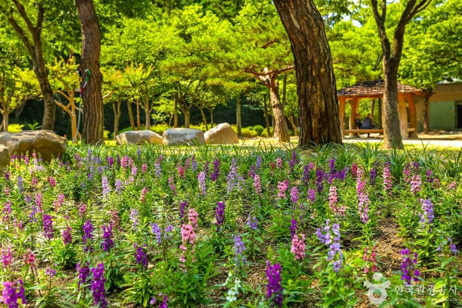 대구앞산공원