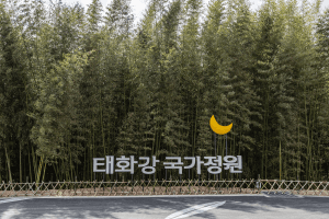 태화강 국가정원