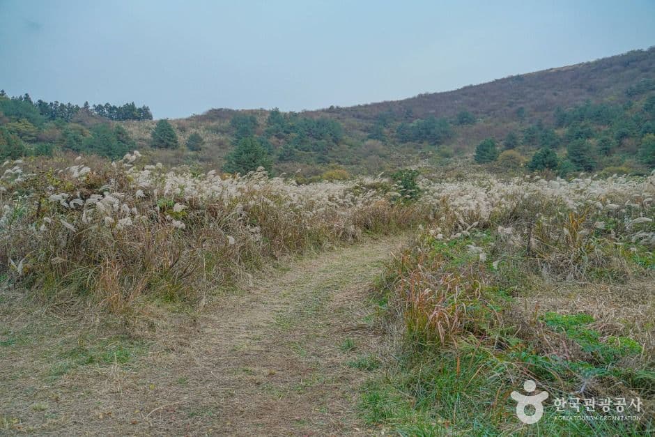 정물알오름