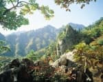 Seoraksan National Park (Inner Section) (설악산국립공원 (내설악))