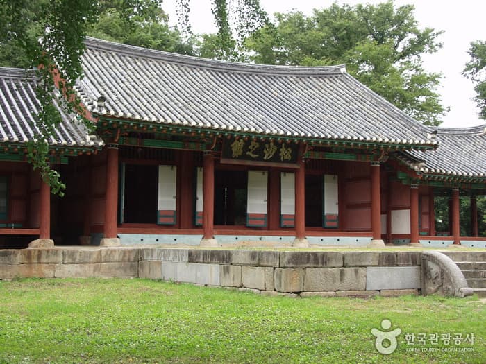 푸른 보리밭, 하얀 메밀꽃의 바다에 빠지다