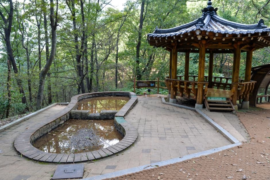 Jangdong Forest Park (장동산림욕장)