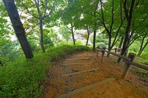 문화마을 둘레길
