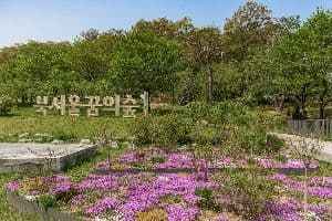 북서울꿈의숲