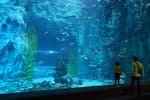 롯데월드 아쿠아리움