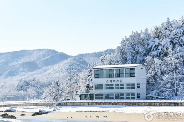 Stay Gajin (스테이가진)