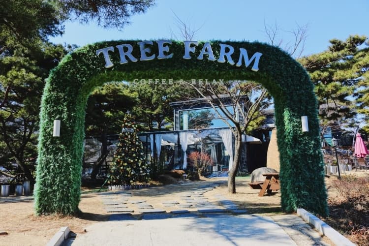 트리팜