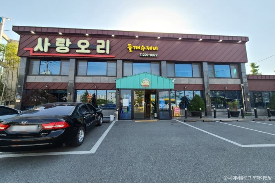 사랑오리
